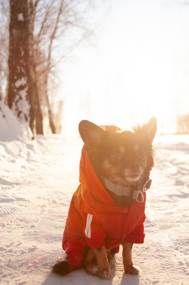 Photograph by Елизавета Кузнецова