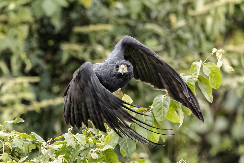Фотография автора Ricardo Q T Rodrigues