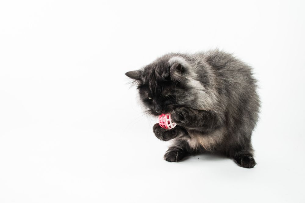 Photograph by Ксения Мисько