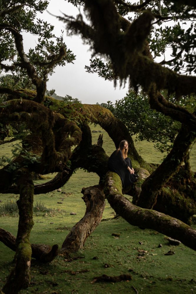 Photograph by Наталья Посашко