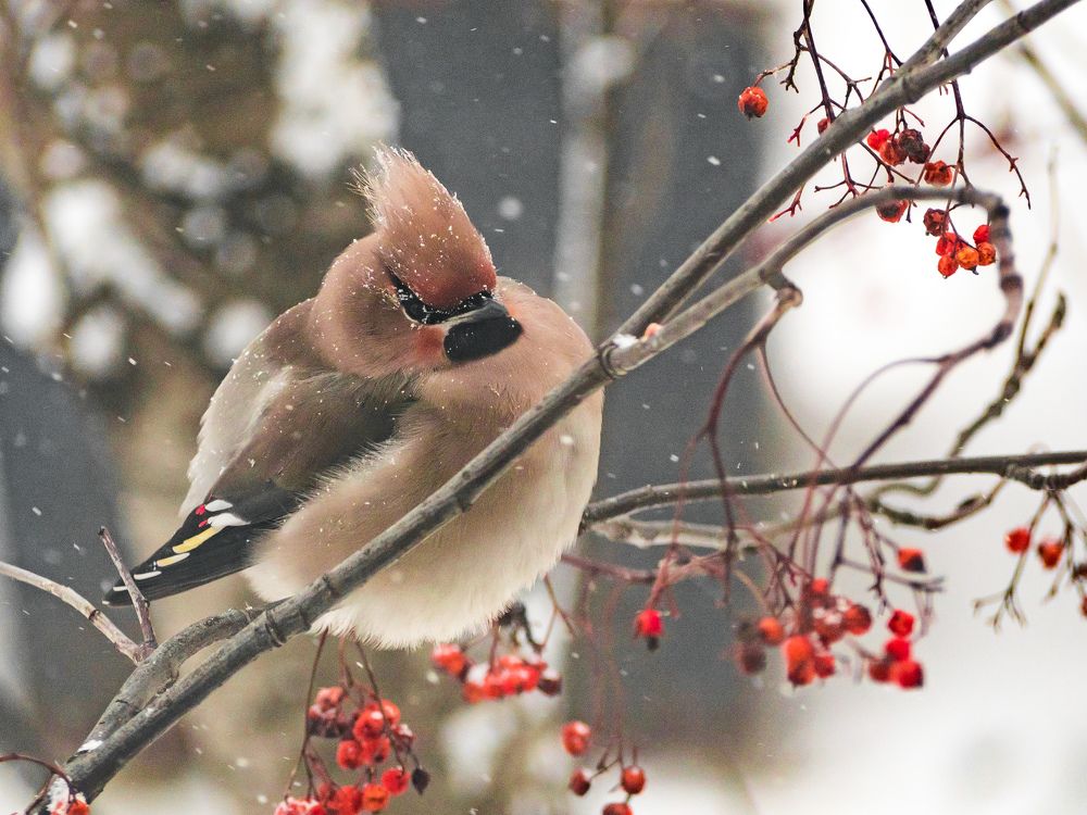 Photograph by Наталья Гордина