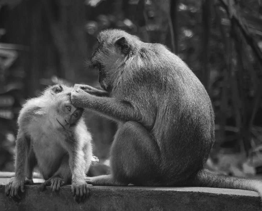 Photograph by Alice White