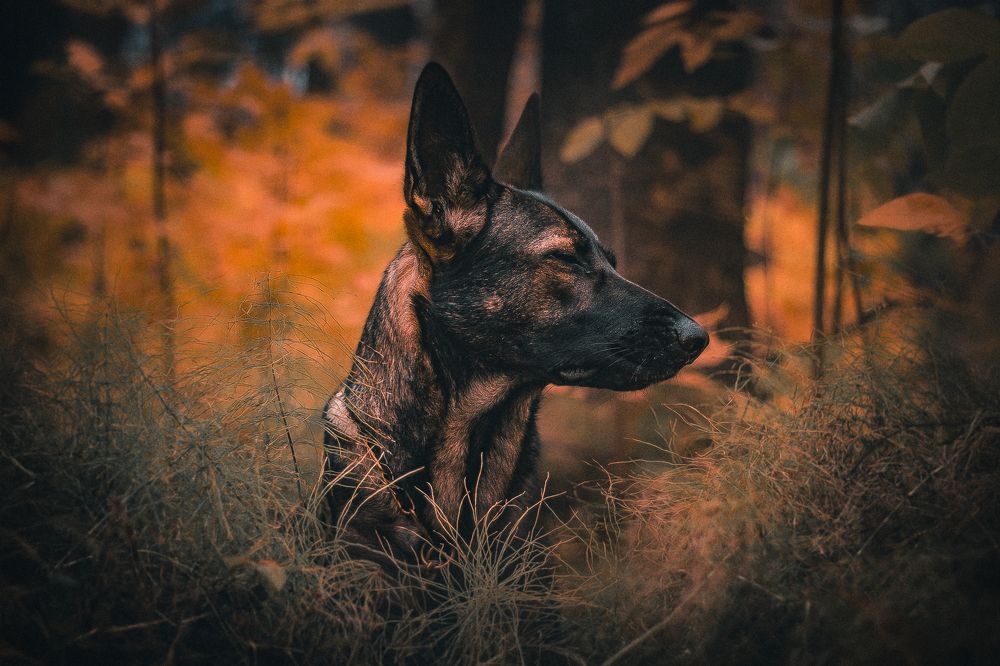 Photograph by Марина Соловьева