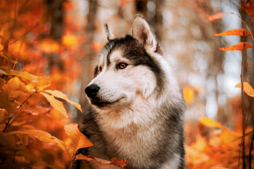 Photograph by Марина Соловьева