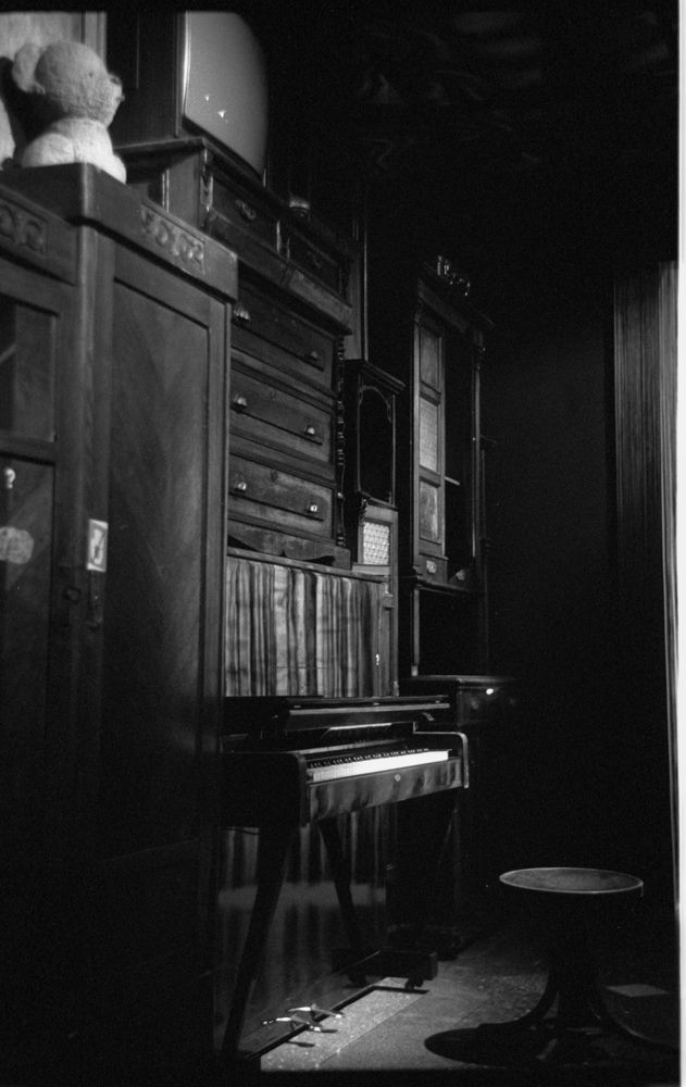 Photo #10435757