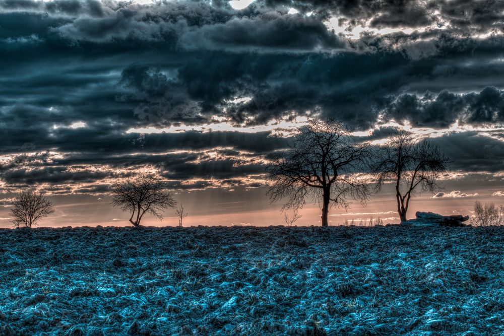 Photograph by Vladyslav Zolotarevskyi