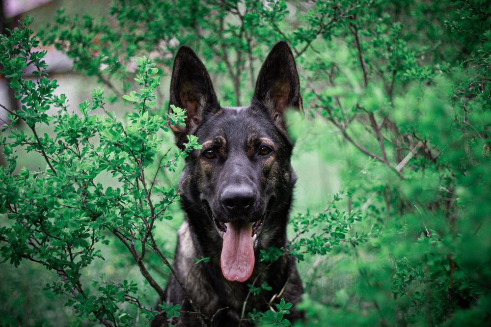 Photograph by Марина Соловьева