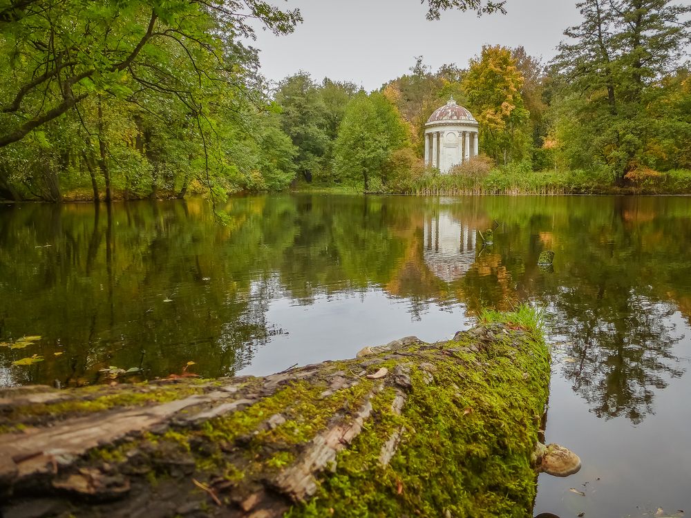 Тишина осени