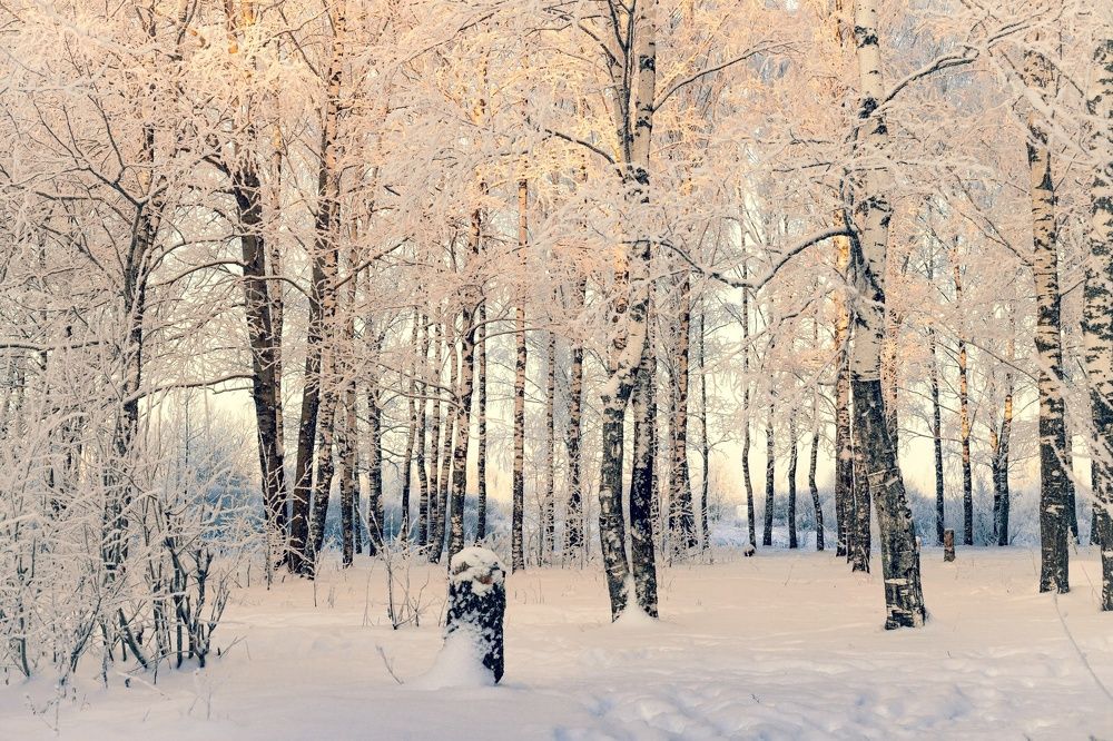 Photograph by Сергей Белокуров