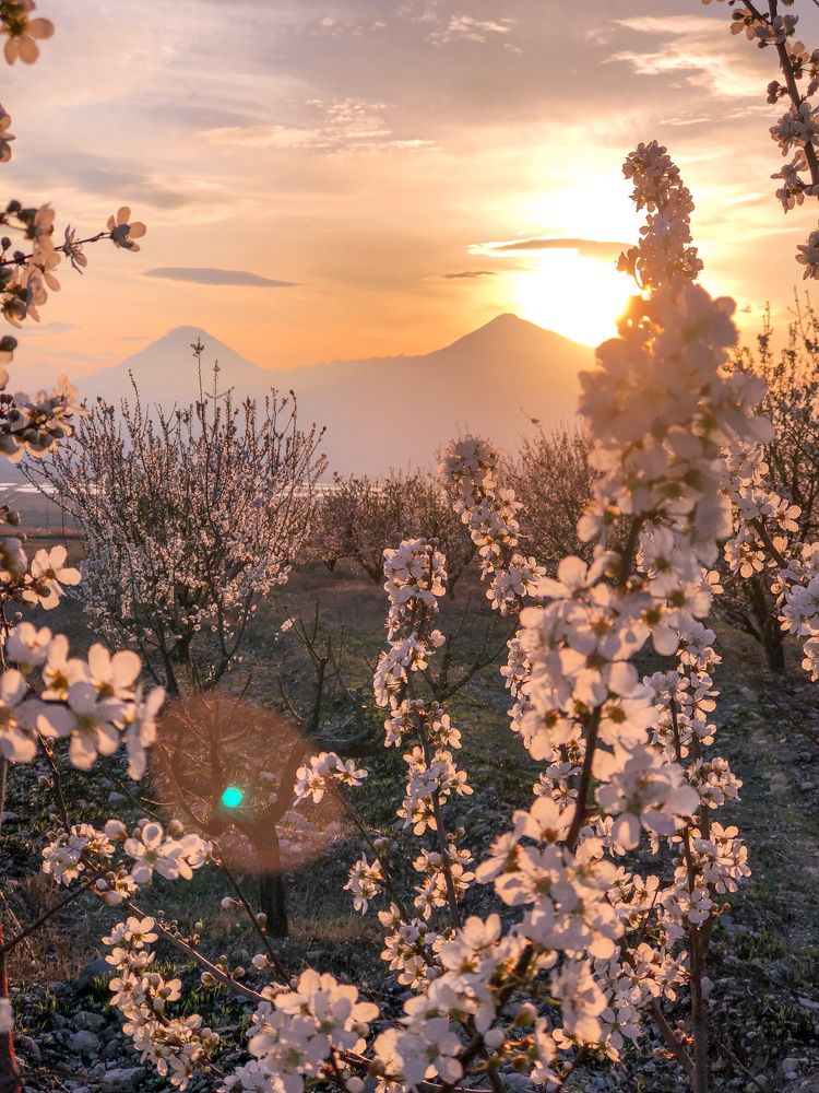 Photograph by Анна Сорокина