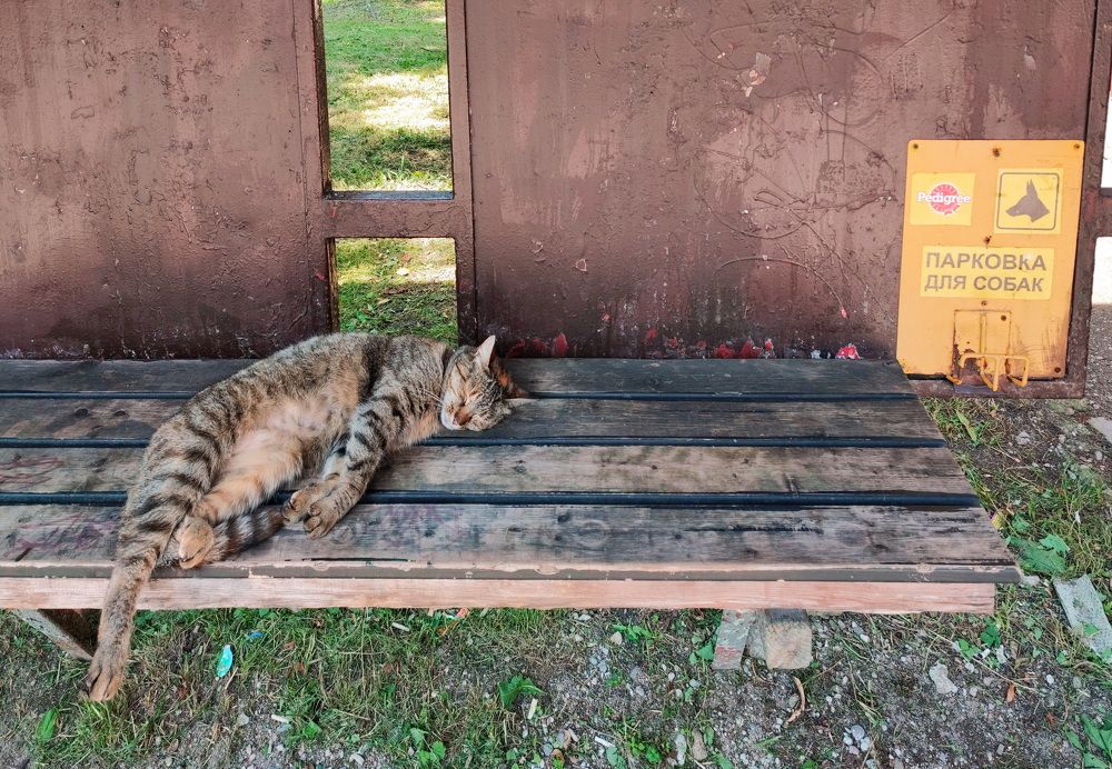 Фотография автора ТАТЬЯНА ЗАХАРОВА