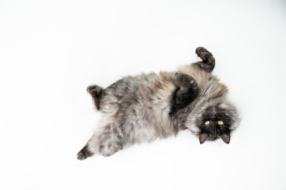 Photograph by Ксения Мисько