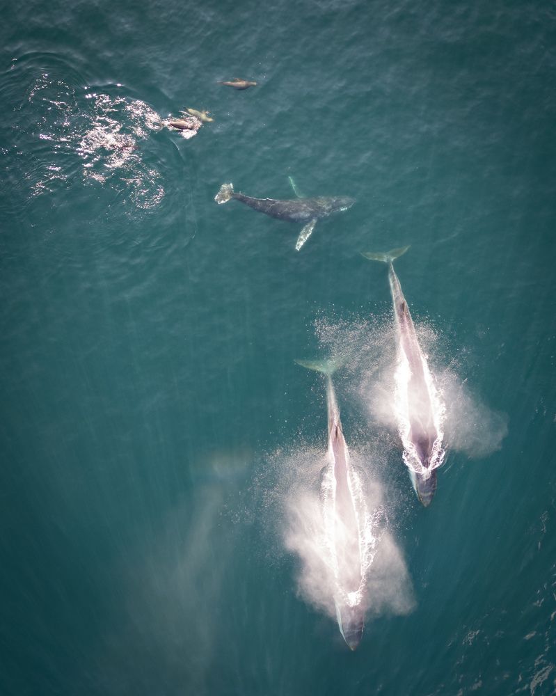 Photograph by Cifuentes Alejandro