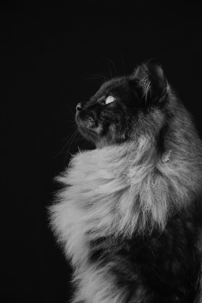 Photograph by Ксения Мисько