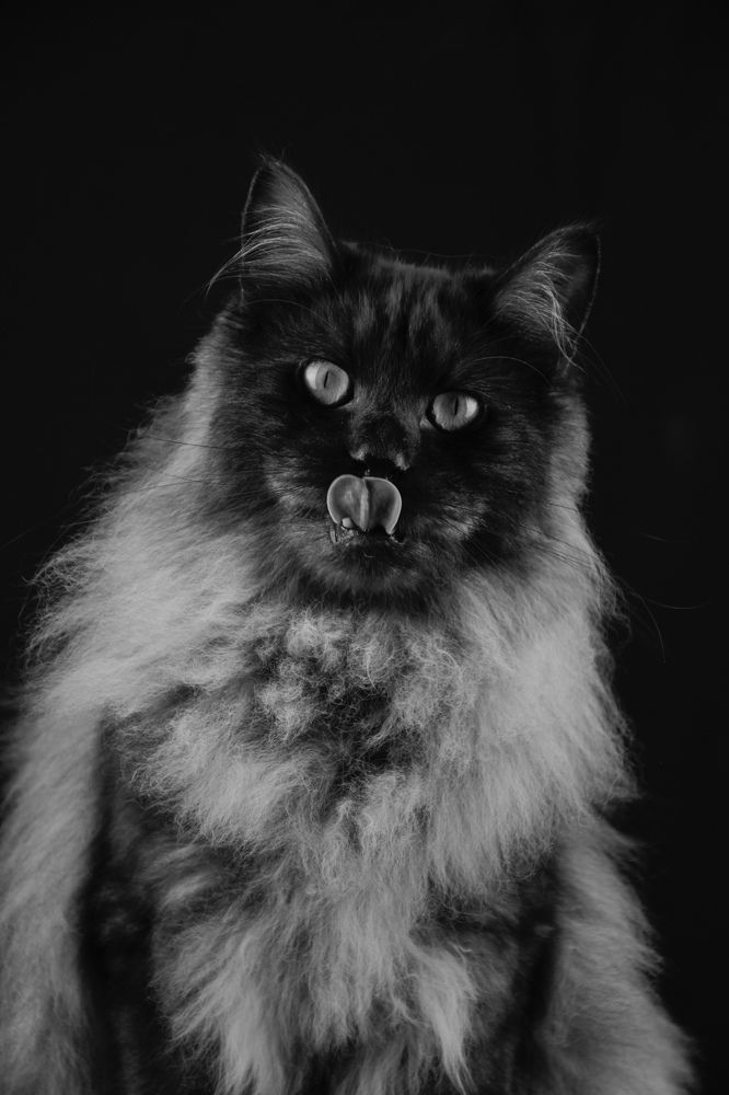 Photograph by Ксения Мисько