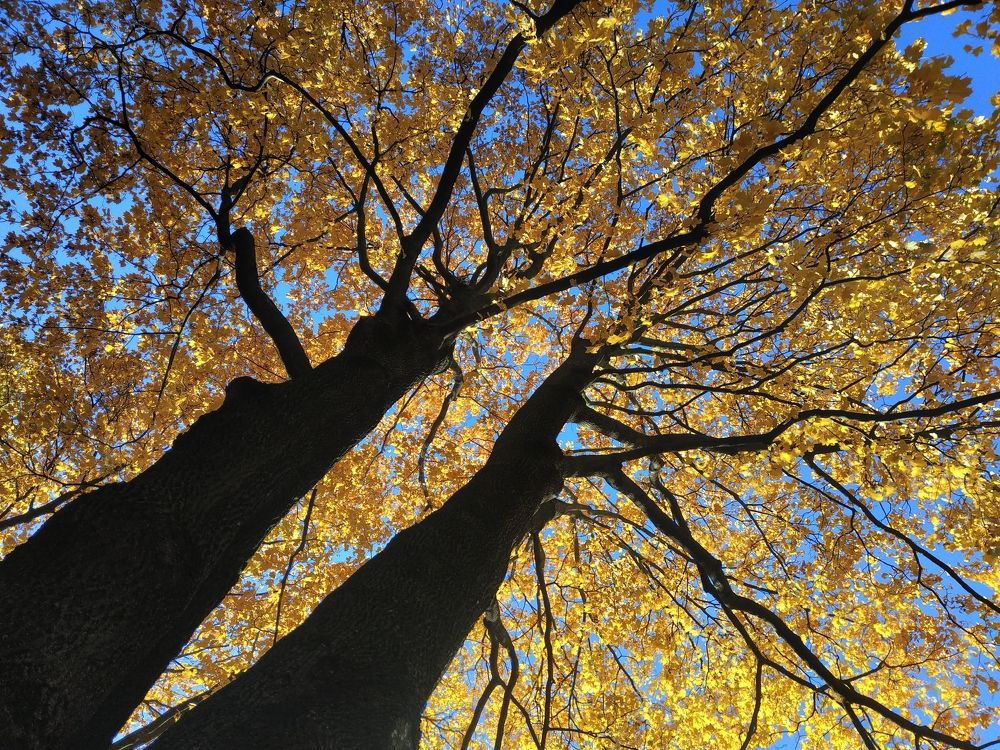 Photograph by Екатерина Сергиенко