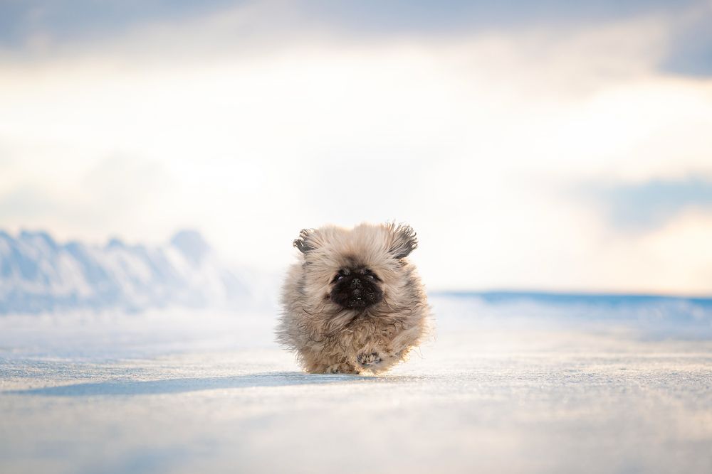 Photograph by Мария Егорова