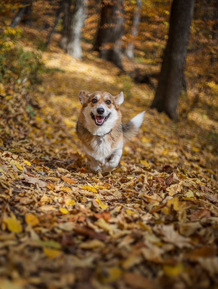 Photograph by Анна Сорокина