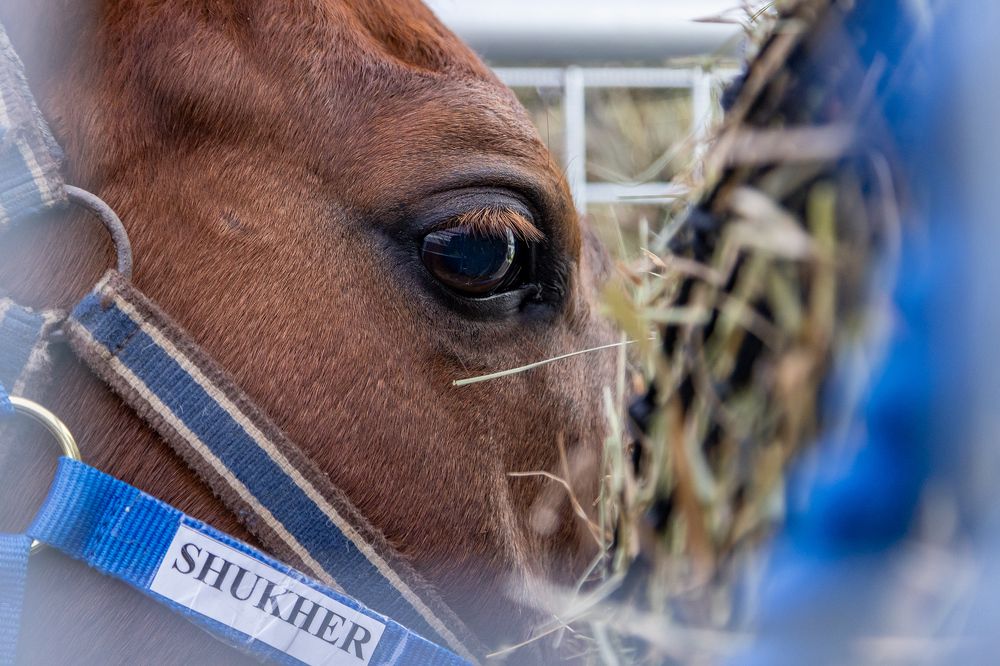 Photograph by Юлия Лорис