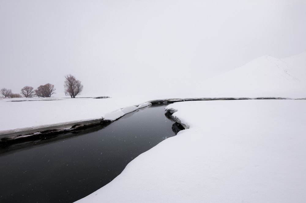 Фотография автора mohammad Alipour