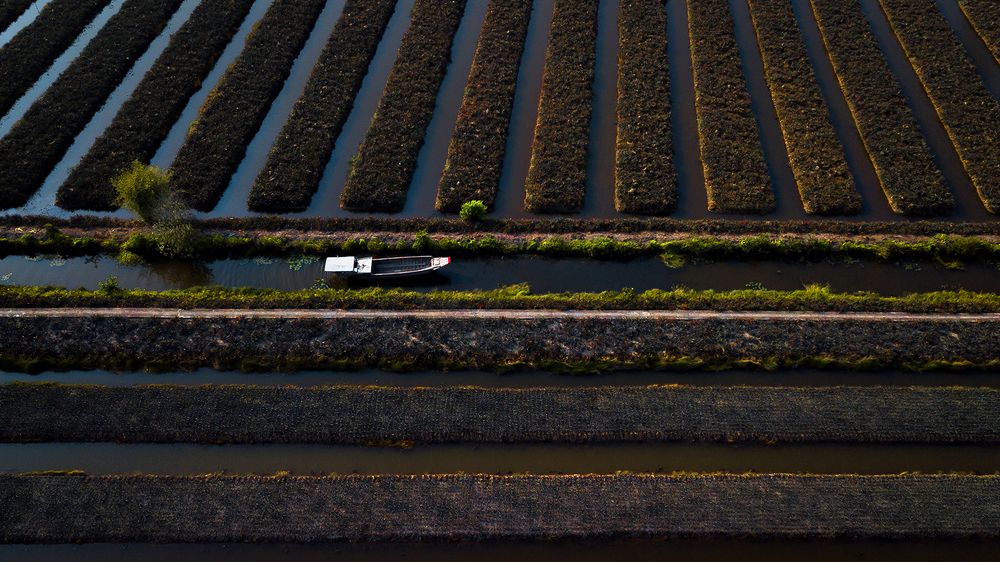 Photograph by QuocToan Nguyen