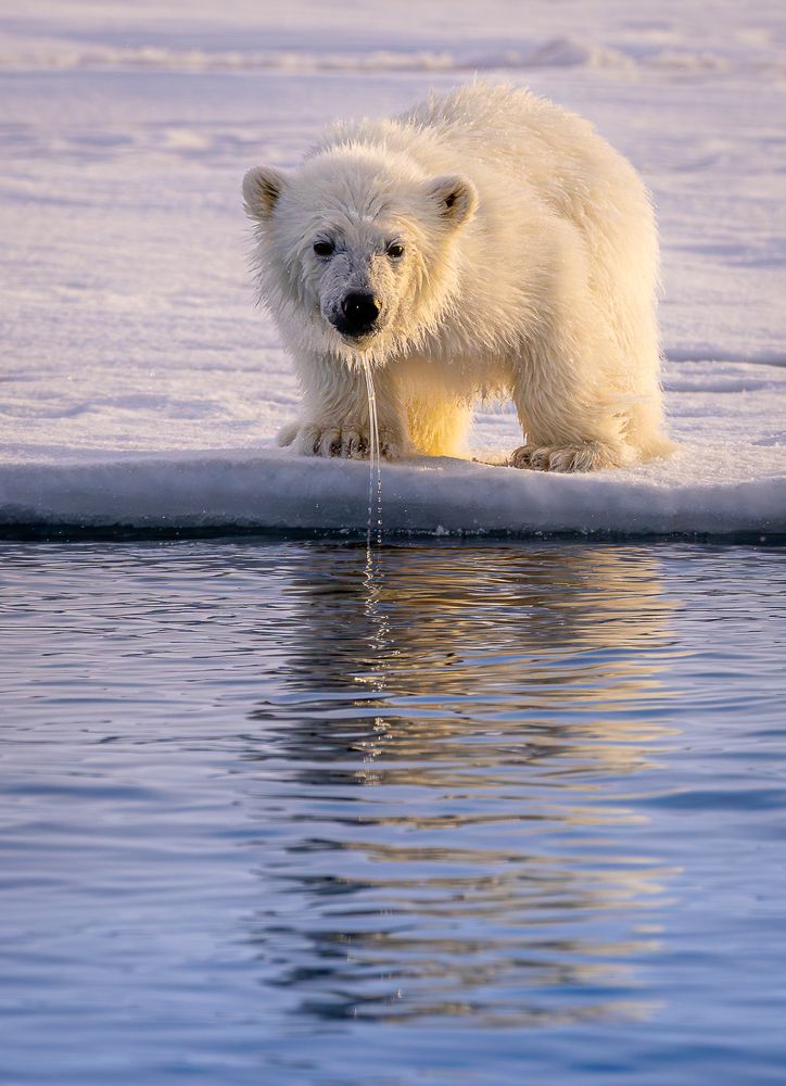 Photograph by Turgay Uzer