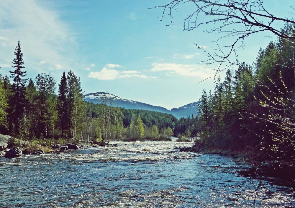 Пейзаж - день