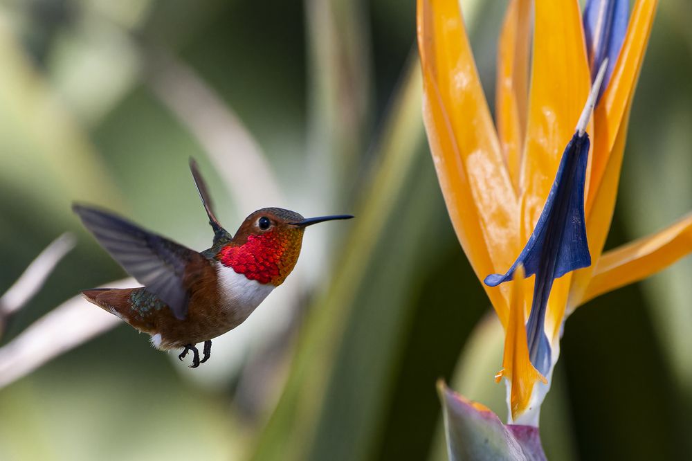 Photograph by Светлана Барабанщикова