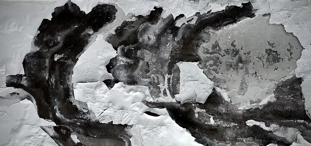 Photograph by Алексей Евсеенков