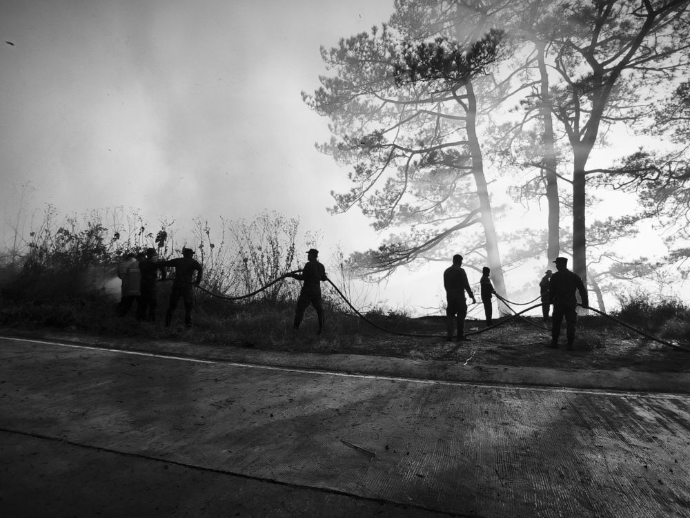 Photograph by Vanessa Carantes