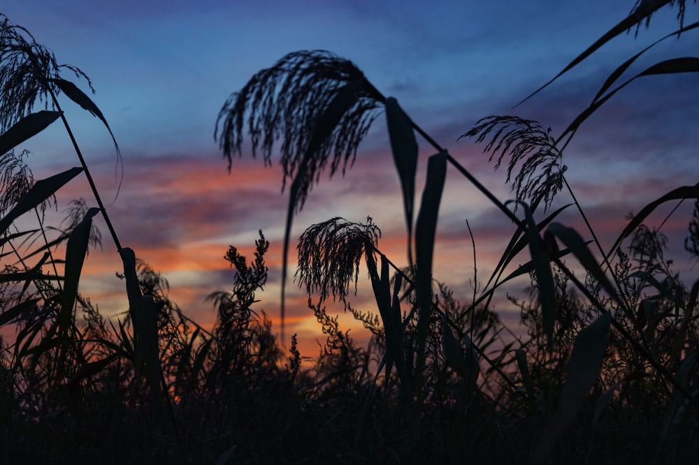 Фотография автора Анна Олещук