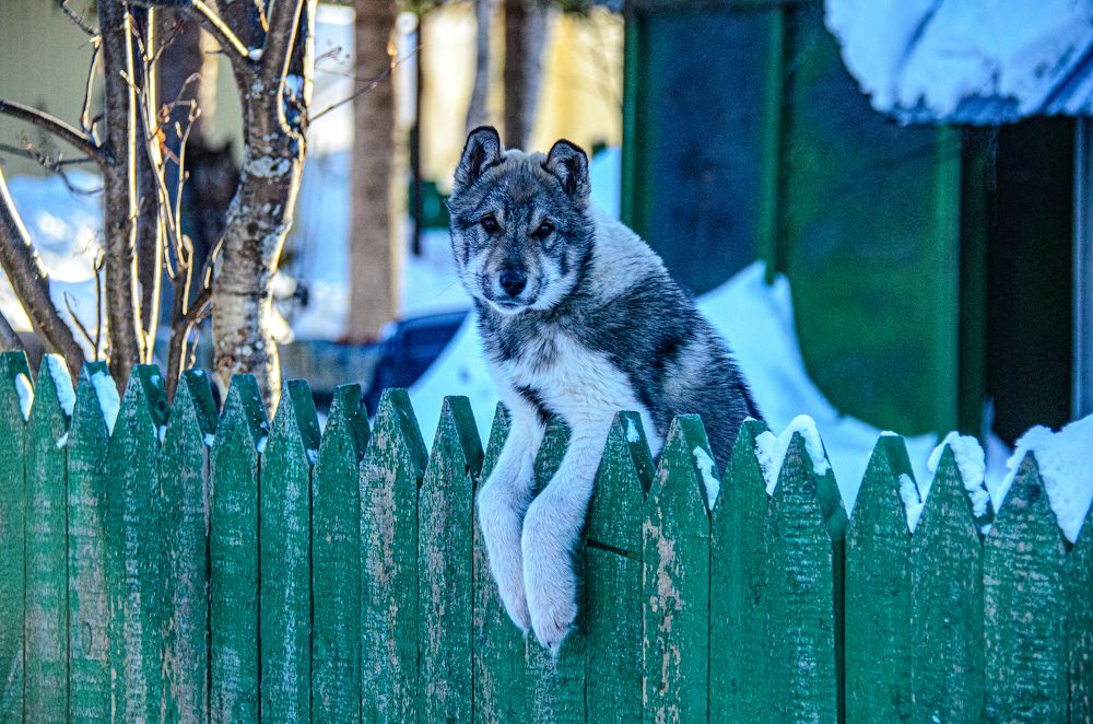 Photograph by Михаил Плецкий