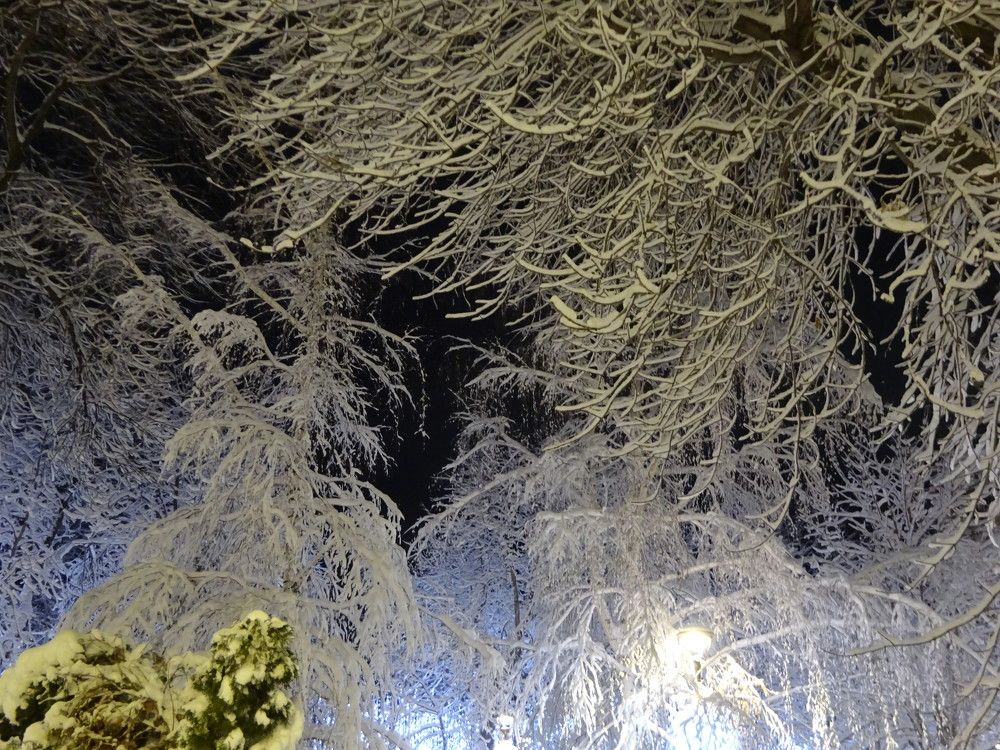 Photograph by Маргарита Шарина