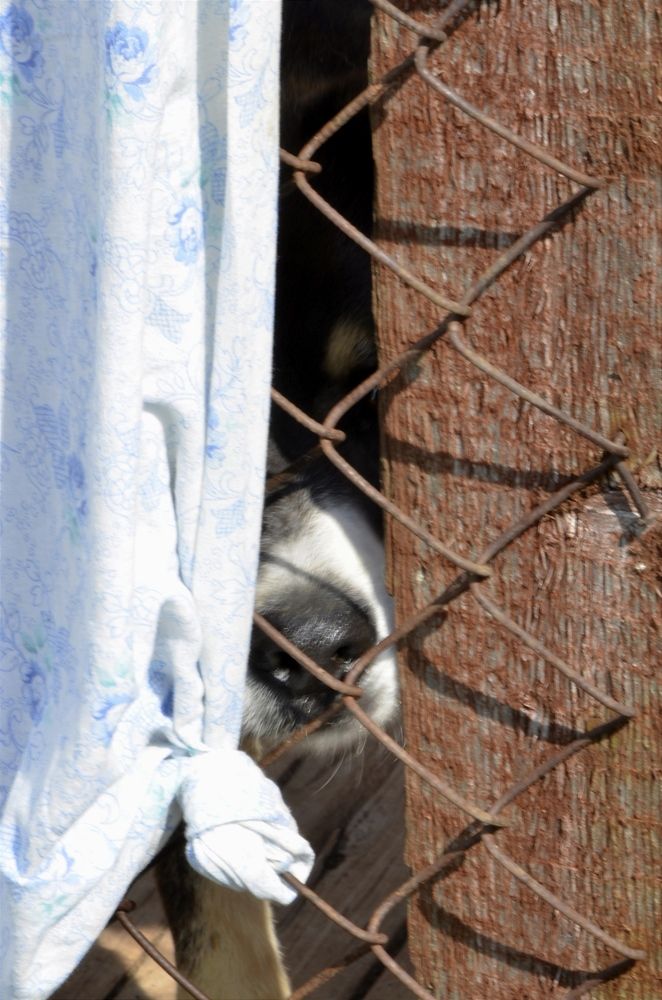 Один день из жизни...