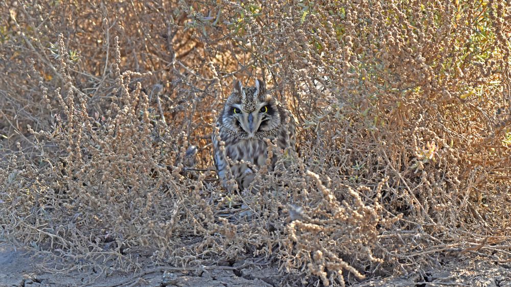 Фотография автора Prateek Agarwal