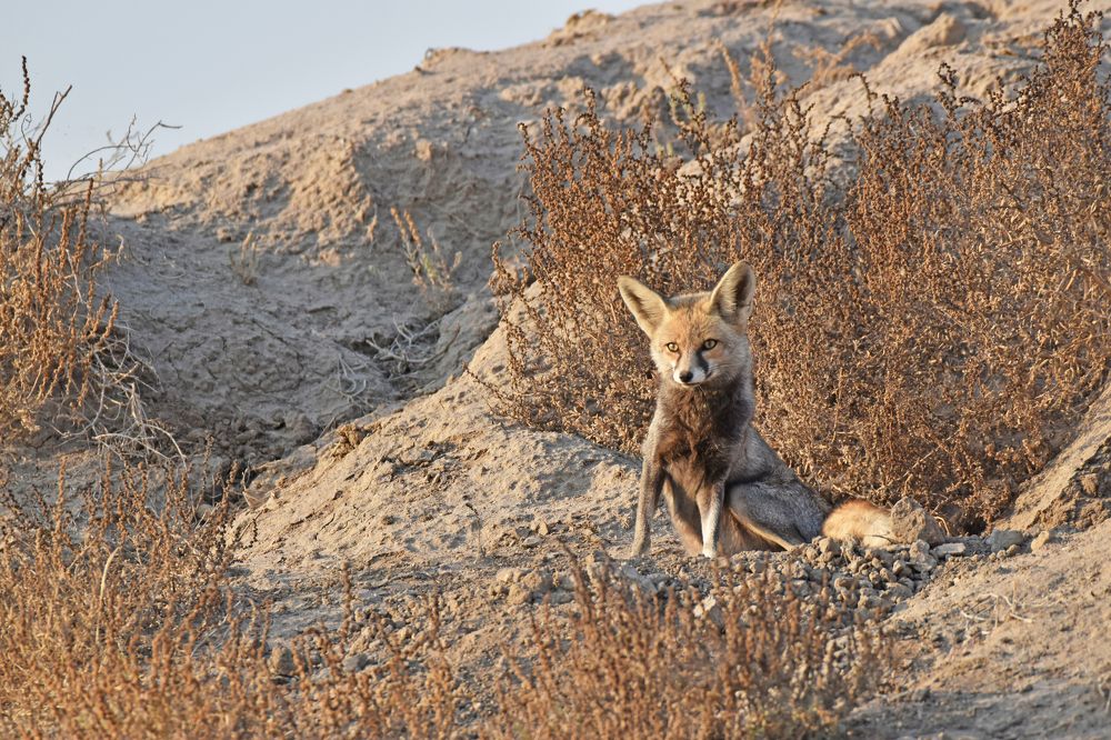 Фотография автора Prateek Agarwal