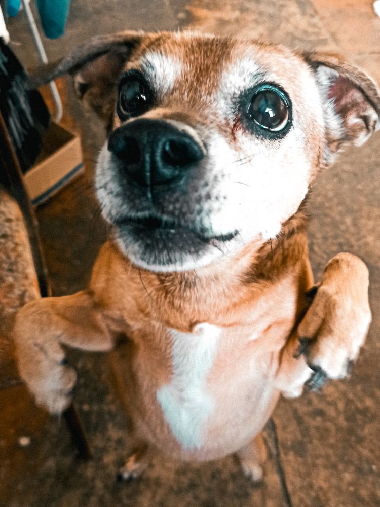 Фотография автора Таня Долгушева