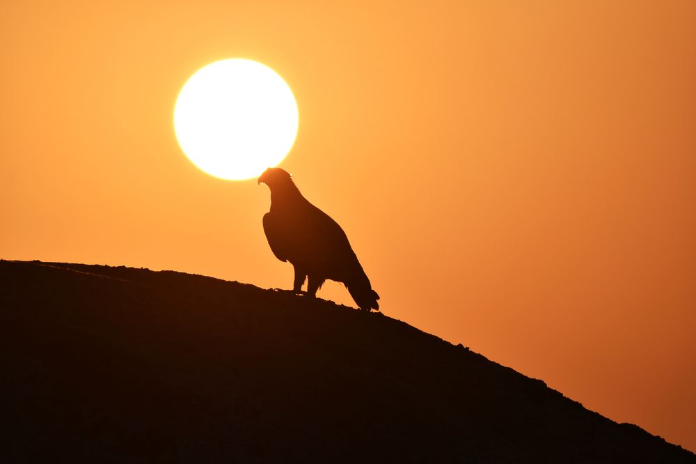 Фотография автора Prateek Agarwal