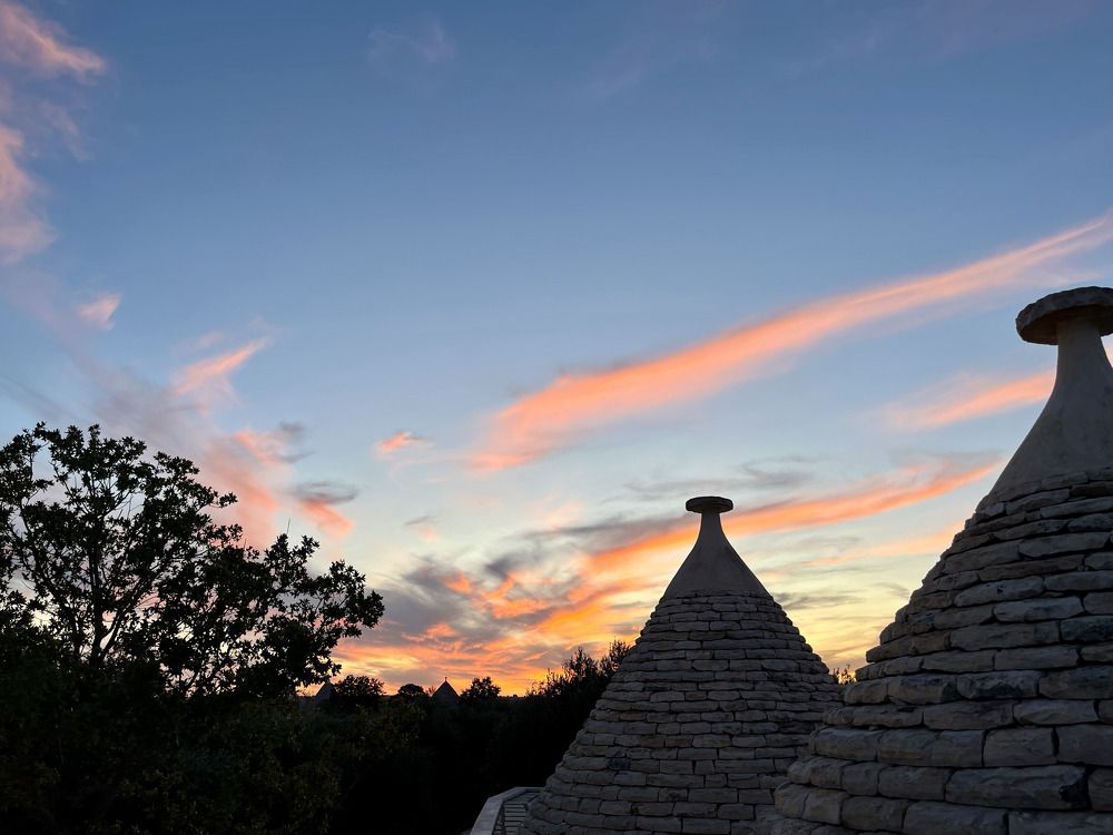 Photograph by Amy May Holt