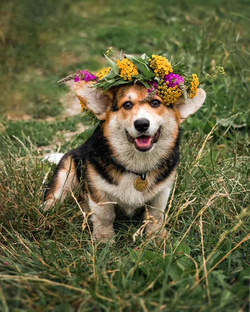 Photograph by Анна Сорокина