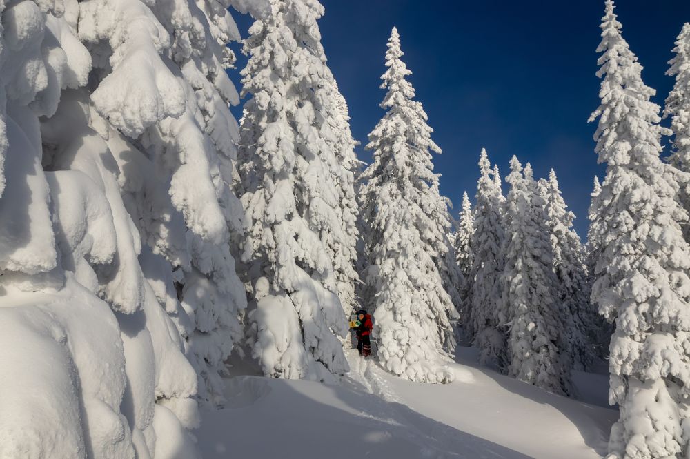 Фотография автора Анастасия Тараканова