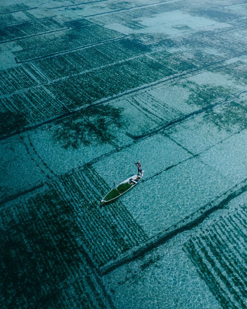 Photograph by Анастасия Сауль