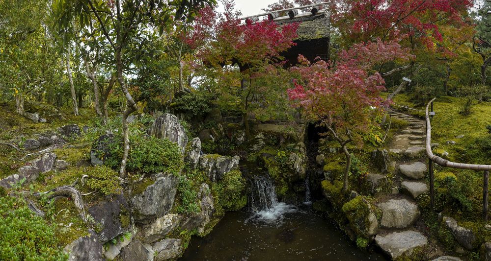 Photograph by Александр Журавлев