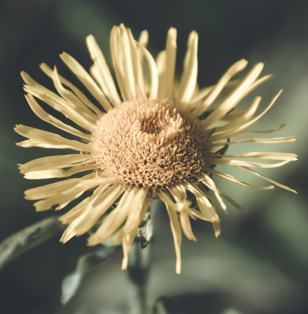 Photograph by Ольга Андронова