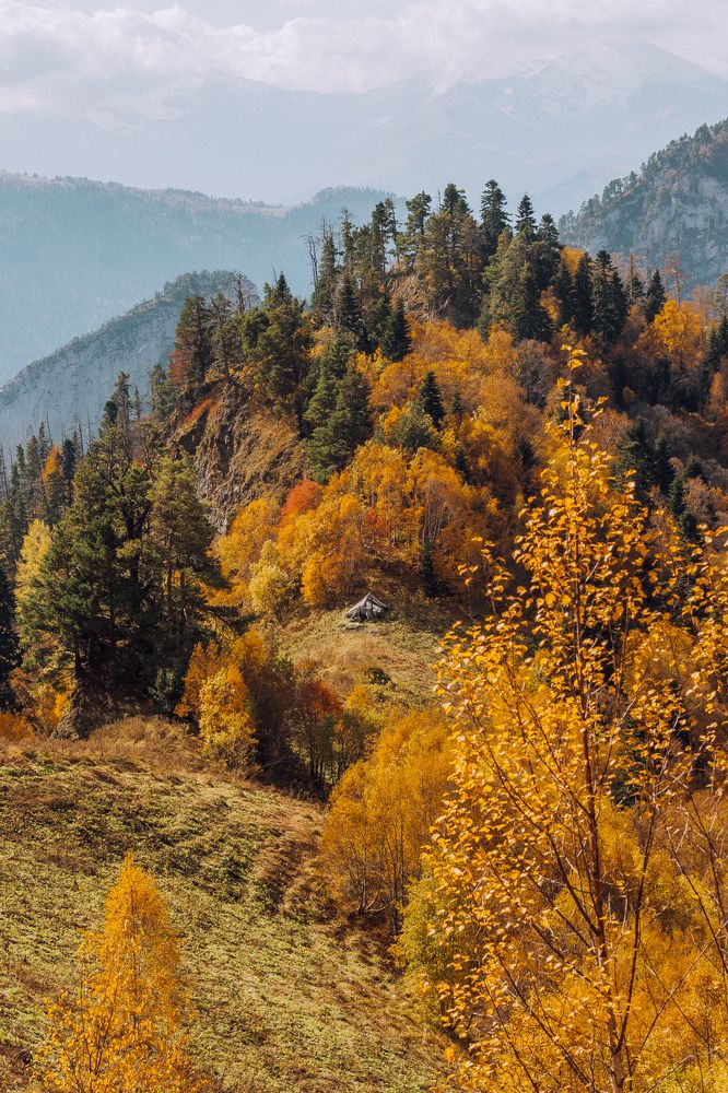 Photograph by Анна Сорокина