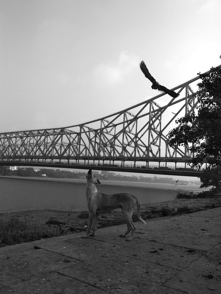 Photograph by Shayan Manna