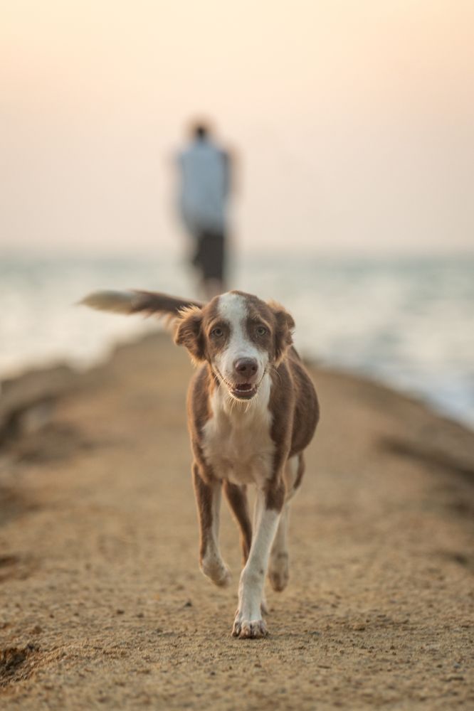 Photograph by Fabio Aristizábal