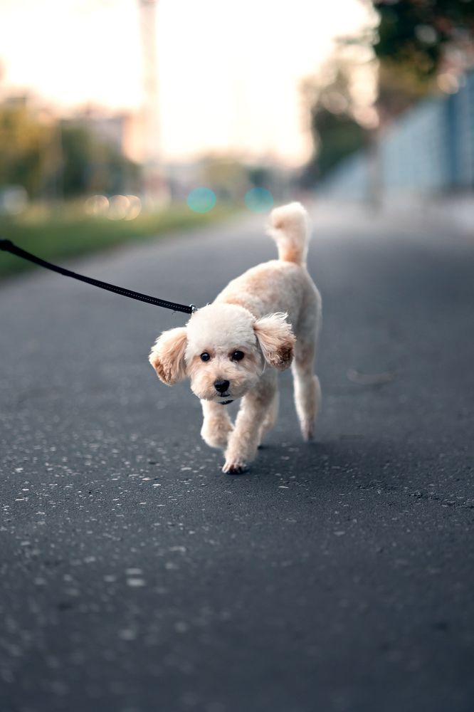 Photograph by Аникеева Тамара