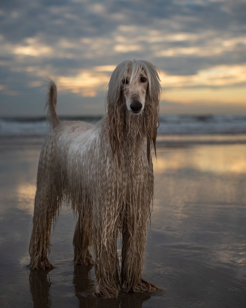 Photograph by Evgeniya Stafeeva