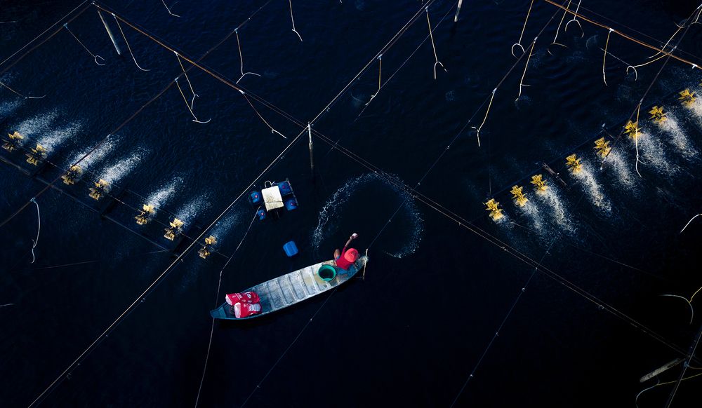 Photograph by QuocToan Nguyen